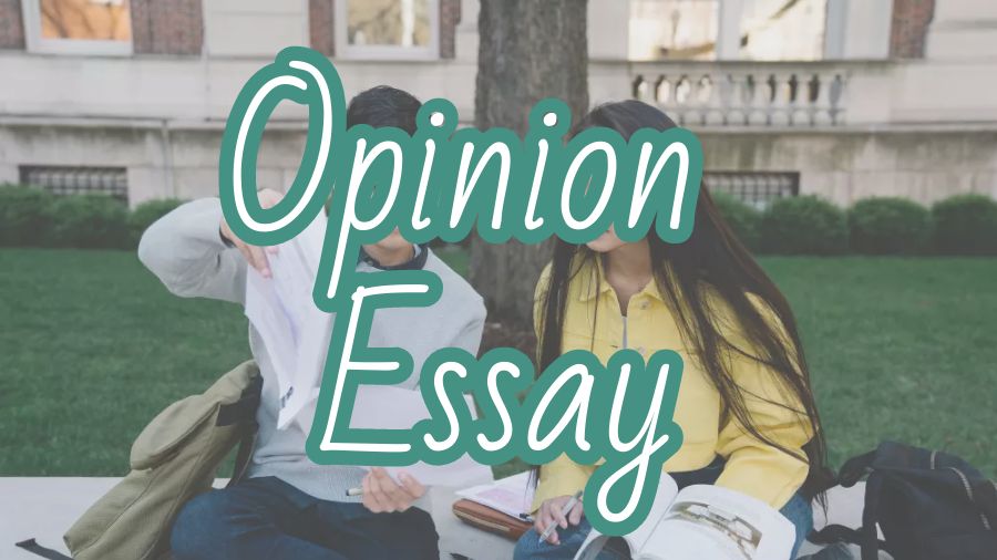 ​澳洲新南威尔士大学Opinion Essay怎么写？
