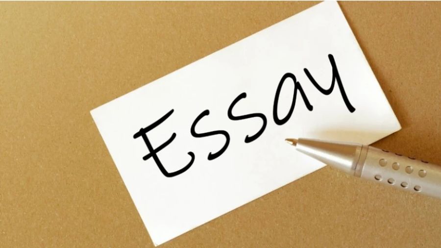 商科英国essay