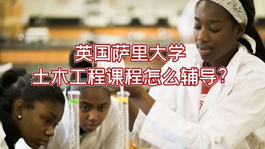 英国萨里大学土木工程课程怎么辅导?