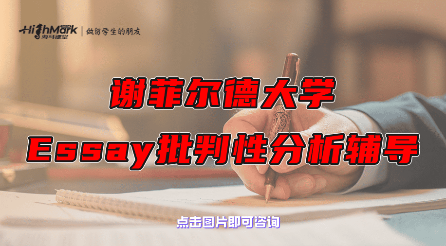 谢菲尔德大学Essay批判性分析辅导