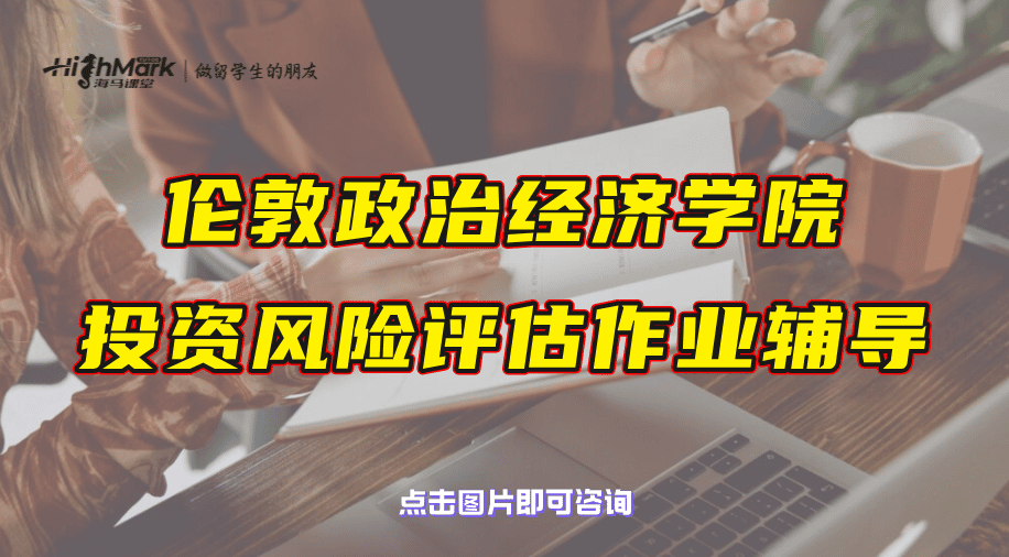 伦敦政治经济学院投资风险评估作业辅导