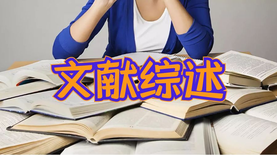 谢菲尔德大学dissertation文献综述怎么写