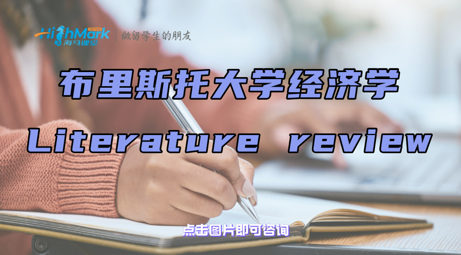 布里斯托大学经济学Literature review怎么写?