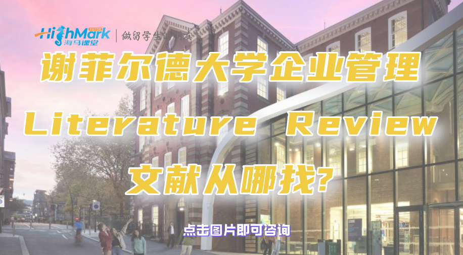 谢菲尔德大学企业管理Literature Review文献从哪找?