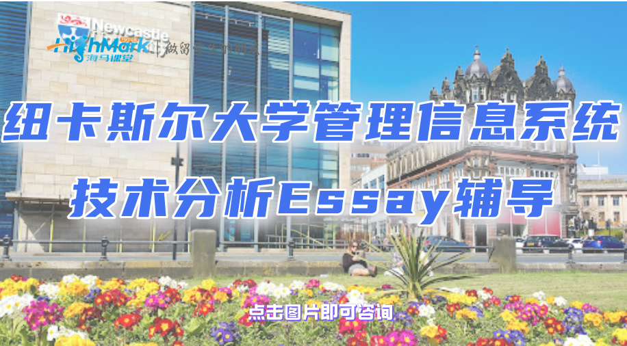 纽卡斯尔大学管理信息系统技术分析Essay辅导