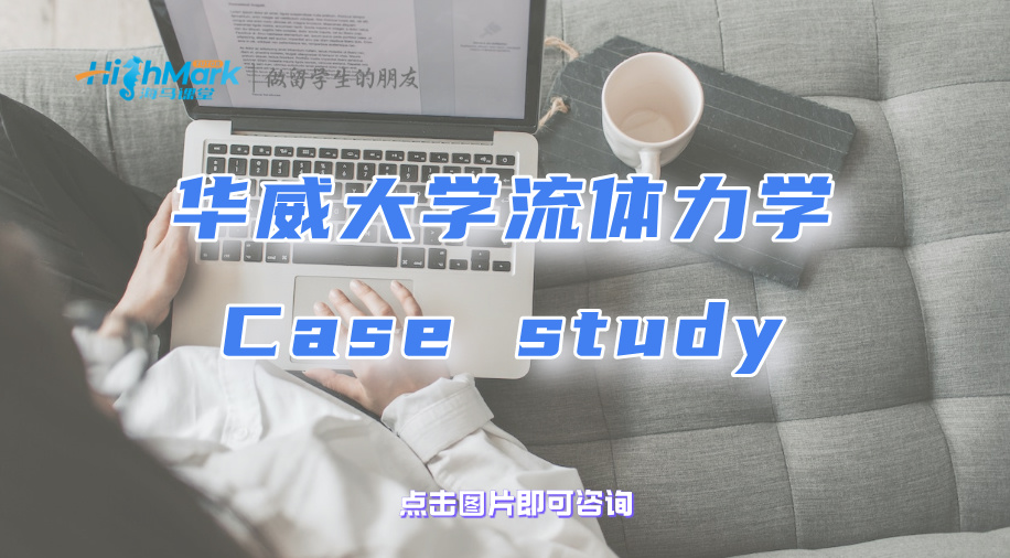 华威大学流体力学Case study怎么进行问题诊断与解决?