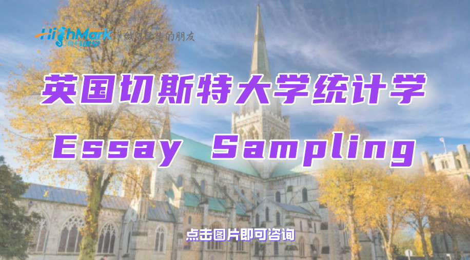 英国切斯特大学统计学Essay Sampling如何保证合规、有效?