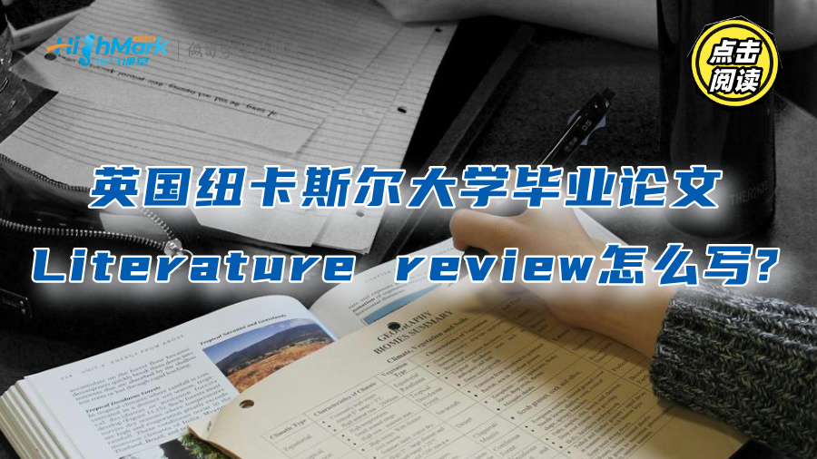 英国纽卡斯尔大学毕业论文Literature review怎么写?