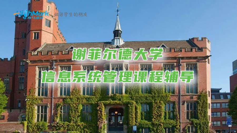 谢菲尔德大学信息系统管理课程辅导