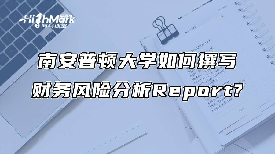 南安普顿大学如何撰写财务风险分析Report?