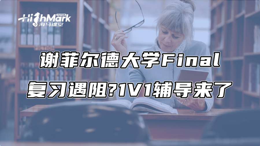 谢菲尔德大学Final复习遇阻?1V1辅导来了